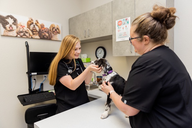 Image from Action Photos album