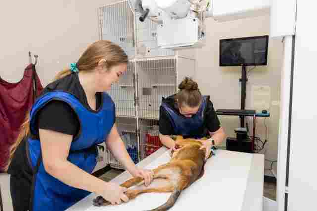 Image from Action Photos album