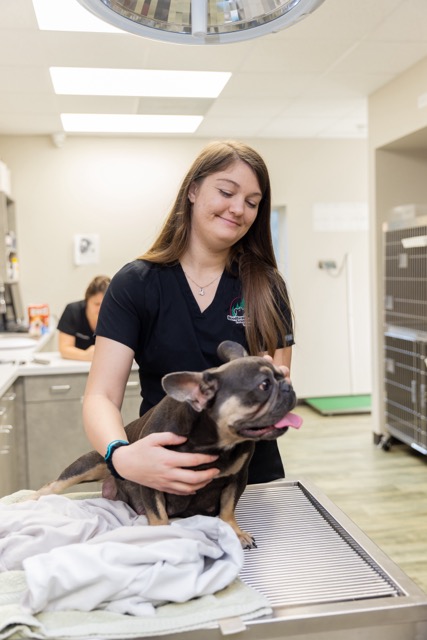 Image from Action Photos album