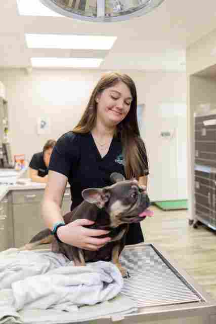 Image from Action Photos album