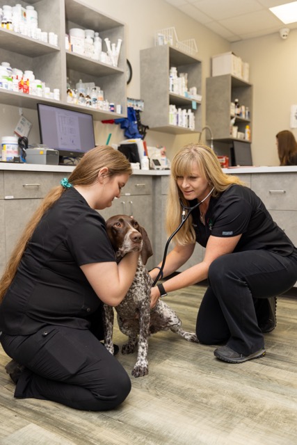 Image from Action Photos album