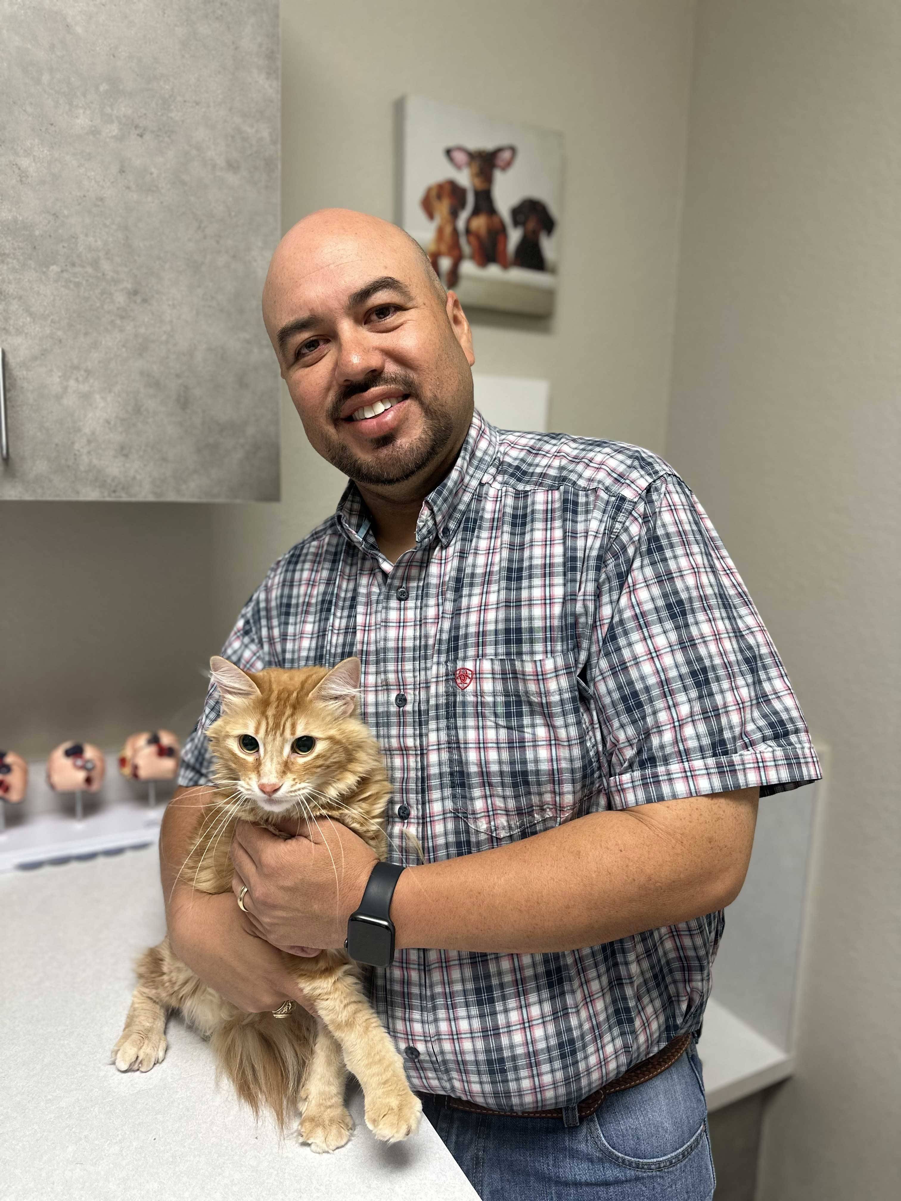 Image from Action Photos album