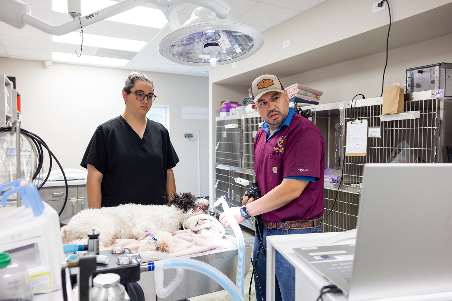 Image from Action Photos album