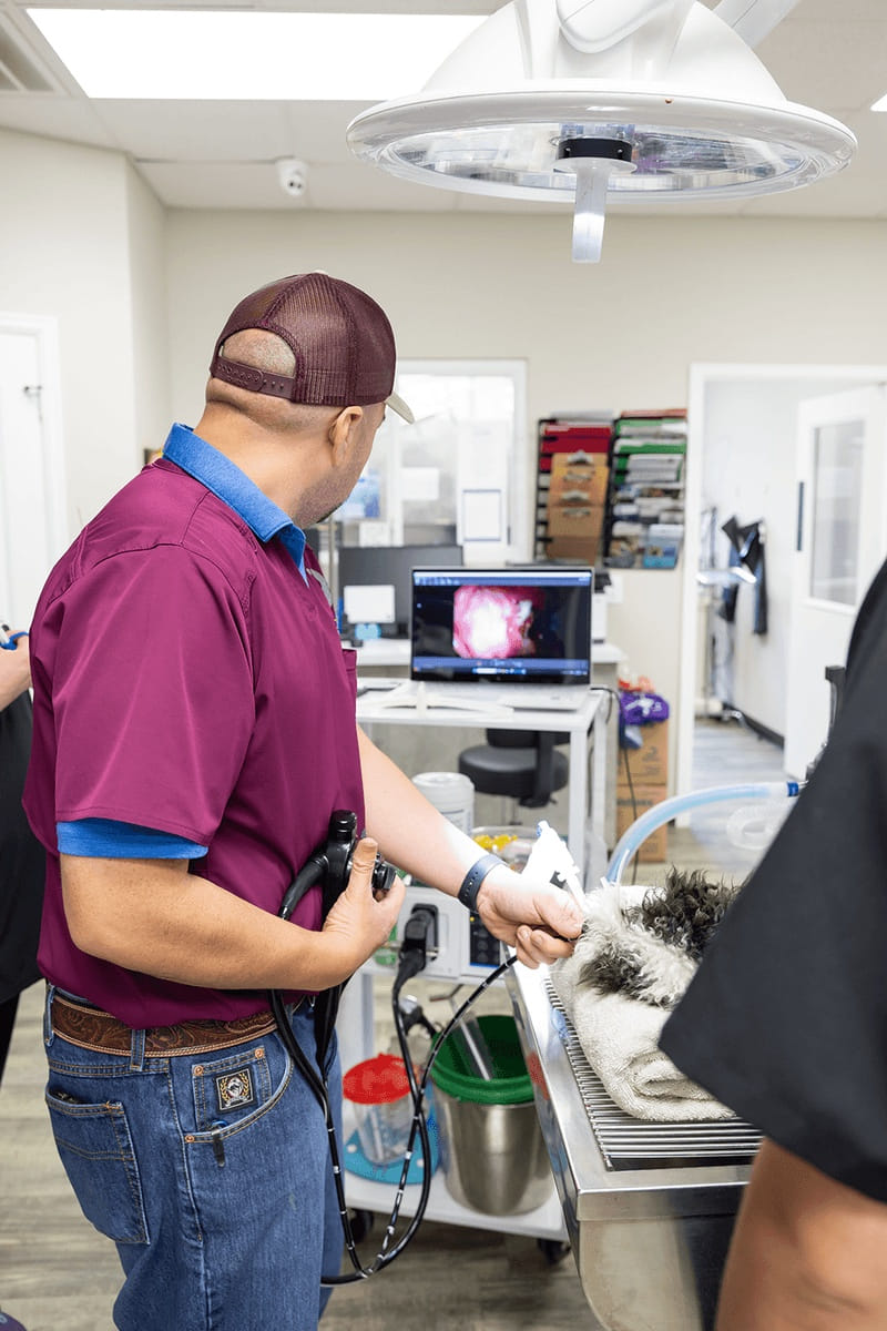 Image from Action Photos album