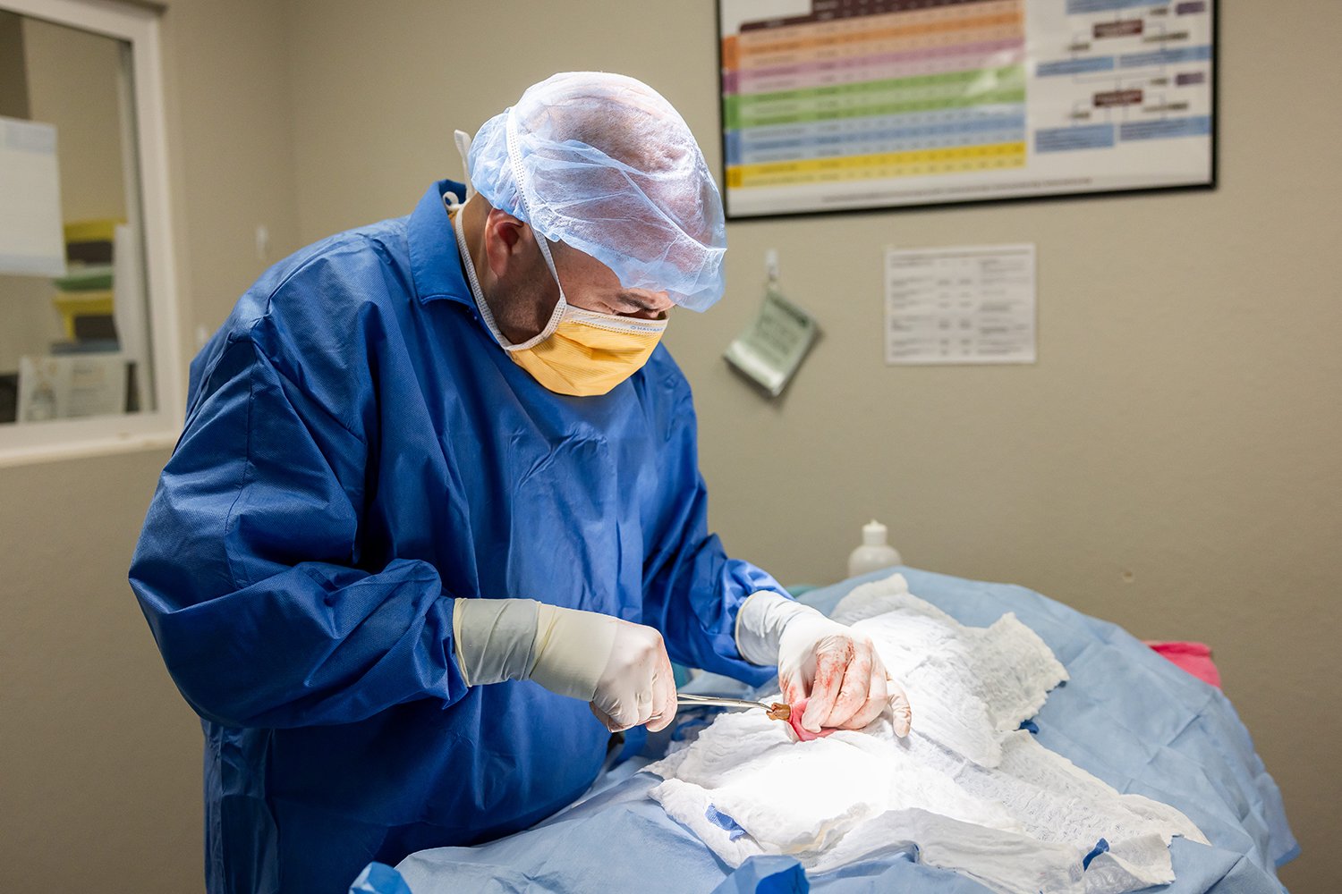 Image from Action Photos album