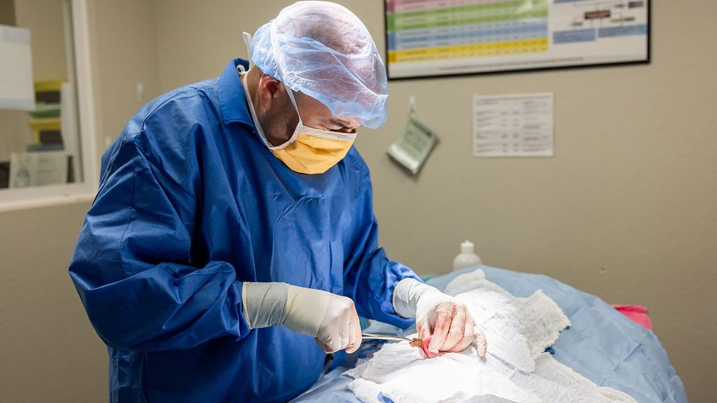 Emergency veterinary surgery at Woodforest Animal Hospital
