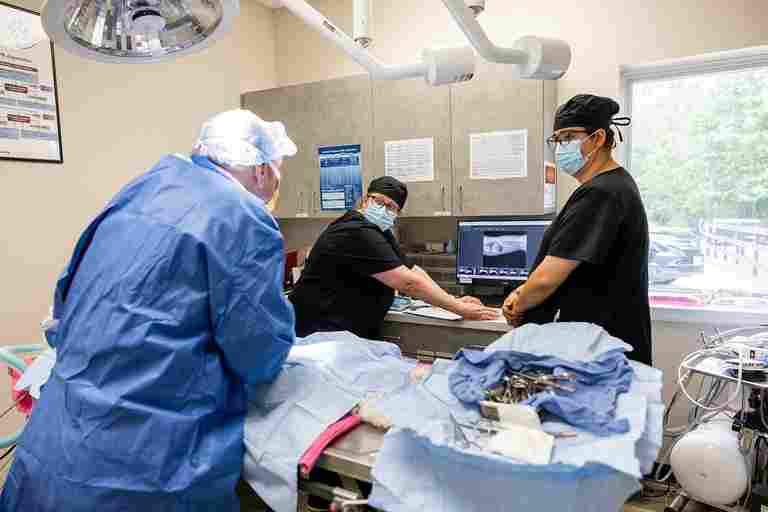 Image from Action Photos album