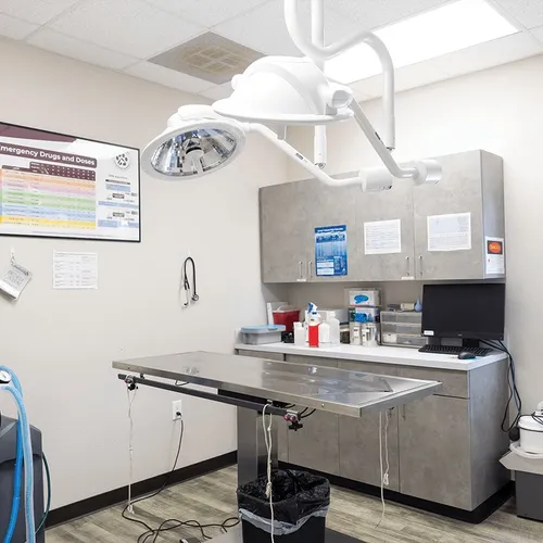 Surgery Room