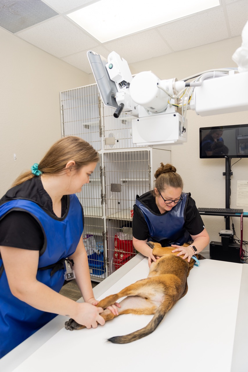 Image from Facility Photos album